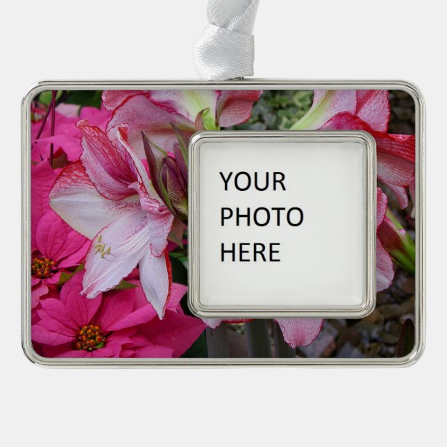 Amaryllis und Poinsettia Rote Blume Rahmen-Ornament Silber (Vorderseite)