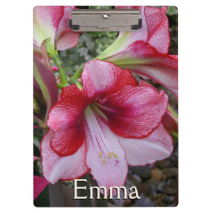 Amaryllis und Weihnachtsstern rote Feiertagsblumen Klemmbrett