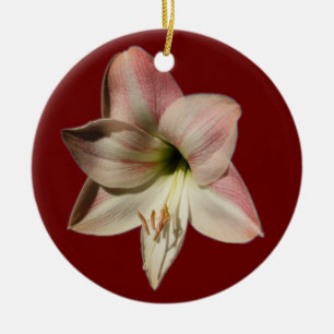 Amaryllis ~ Verzierung Keramikornament