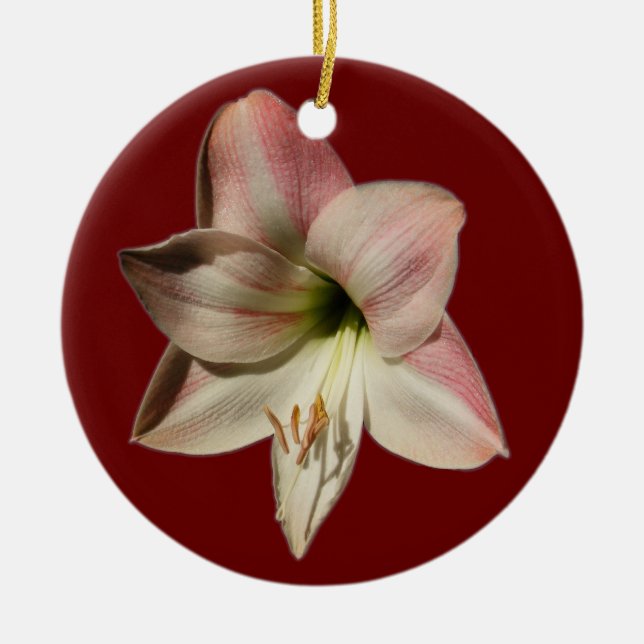 Amaryllis ~ Verzierung Keramikornament (Vorne)