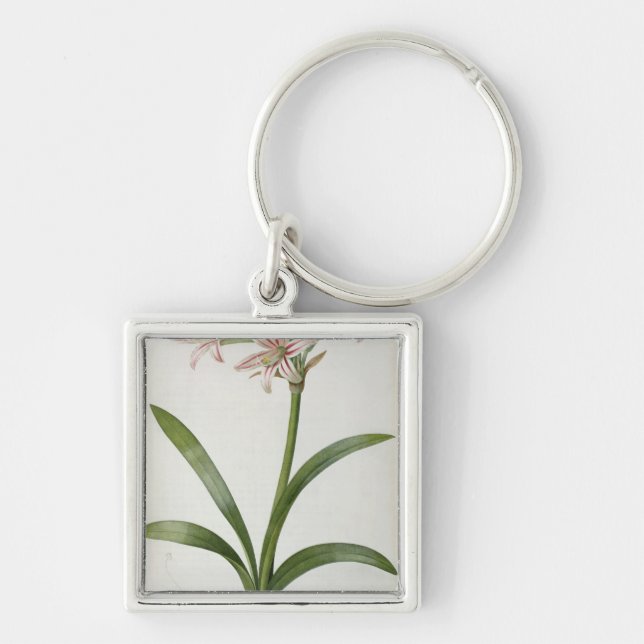 Amaryllis Vittata Schlüsselanhänger (Vorne)