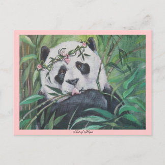 Amato Postkarte