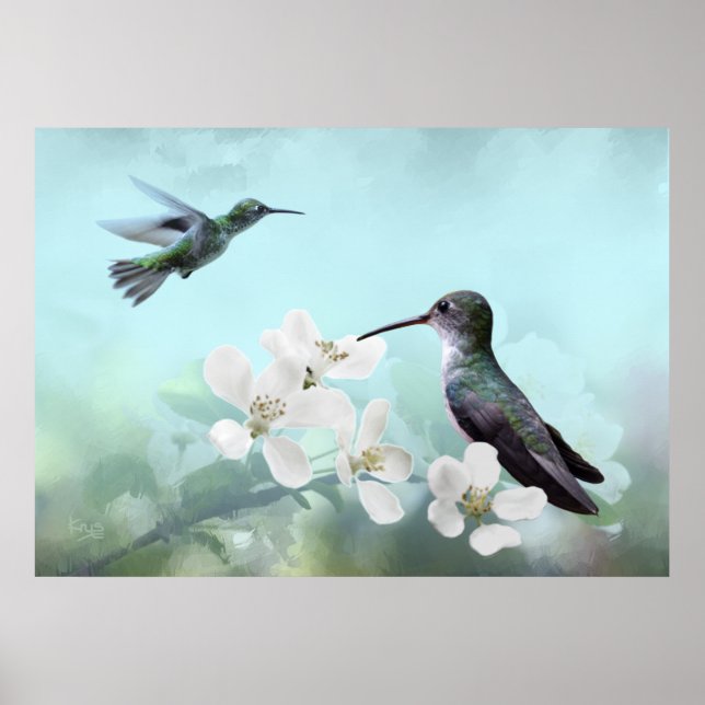 Amazilias Print Poster (Vorne)