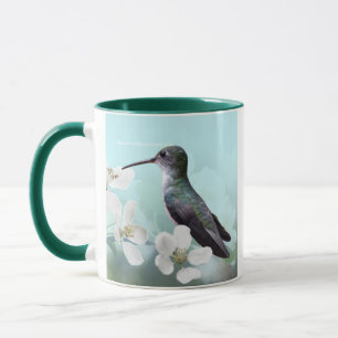 Amazilias Tasse