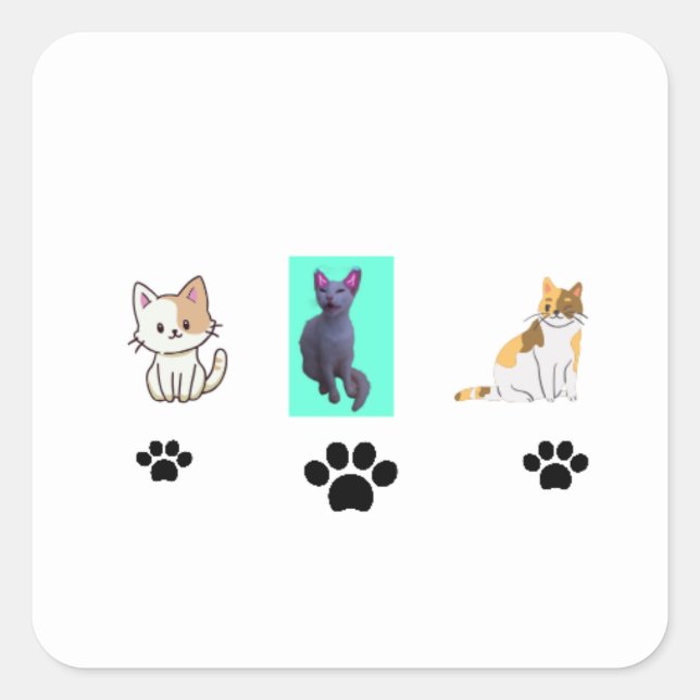 Amazing Cats Quadratischer Aufkleber (Vorderseite)