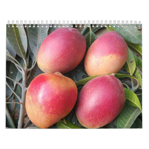 Amazing mango calendar 2023 kalender