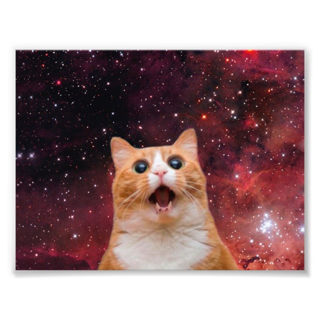 Amazing Space Cat Fotodruck (Vorne)
