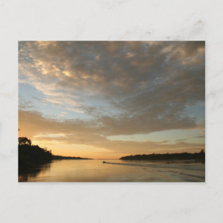 Amazon Humane Society Postcard: Schönes Amazon S Postkarte