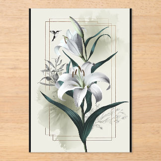 Amazon Lily Art - Gold & Scandi Style Acryleinladungen