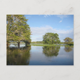 AMAZON RAINFOREST. POSTKARTE