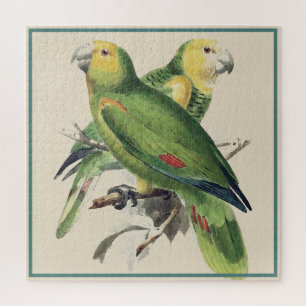 Amazona Papageien - Vintage Vögel Puzzle