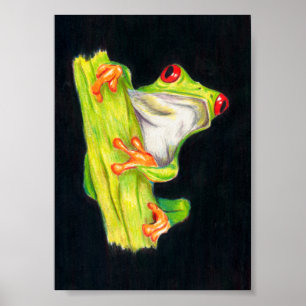 Amazonas Botschafter Poster