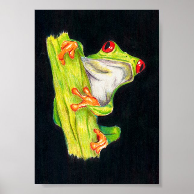 Amazonas Botschafter Poster (Vorne)