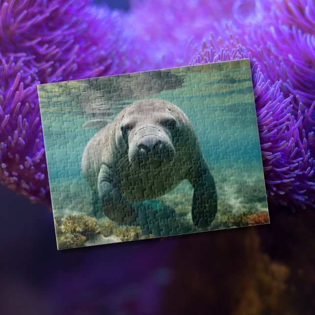 Amazonas Manatee schwimmen über dem Riff. Puzzle (Von Creator hochgeladen)