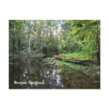 Amazonas-Regenwald-Postkarte