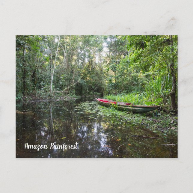 Amazonas-Regenwald-Postkarte Postkarte (Vorderseite)