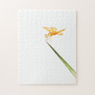 Amber-Flügel Puzzle