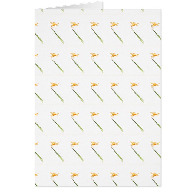 Amber-Flügel rund (Vorne)