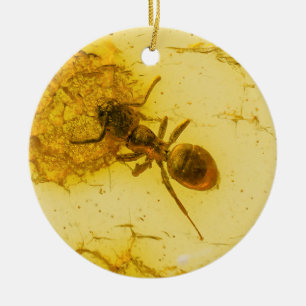 Amber Keramik Ornament