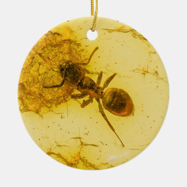Amber Keramik Ornament (Vorne)