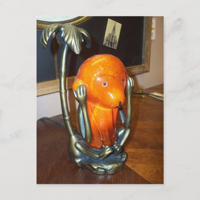 Amber Monkey Postkarte (Vorderseite)