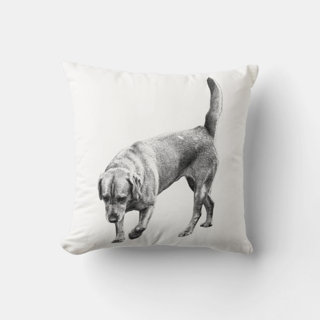 Amber Twilight Watcher Kissen (Vorderseite)