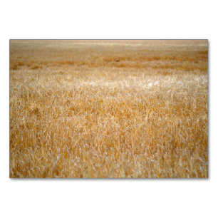 Amber Waves of Grain Tischnummer