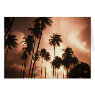 Ambergris Caye, Belize, Zentralamerika. 2