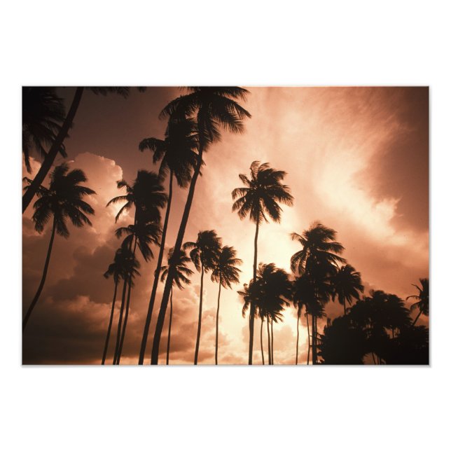 Ambergris Caye, Belize, Zentralamerika. 2 Fotodruck (Vorne)