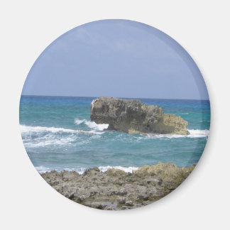 Ambers Natural Flow ! Magnet
