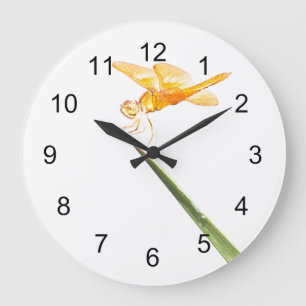 Amberwing Dragonfly Große Wanduhr
