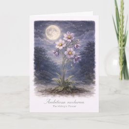 Ambitiosa Nocturna - The Midnight Planner Karte