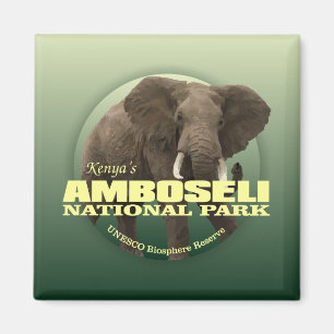 Amboseli NP (African Elephant) WT Magnet