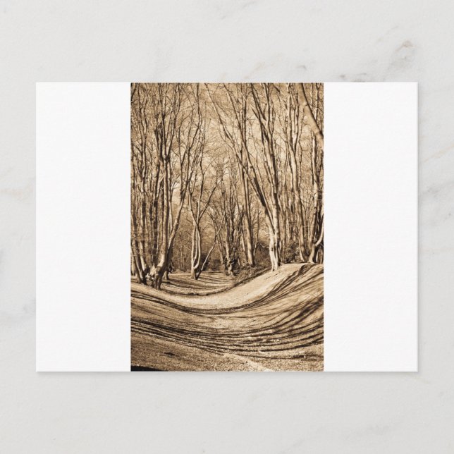 Ambresbury Banks Postkarte (Vorderseite)