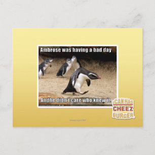 Ambrose hatte einen schlechten Tag Postkarte