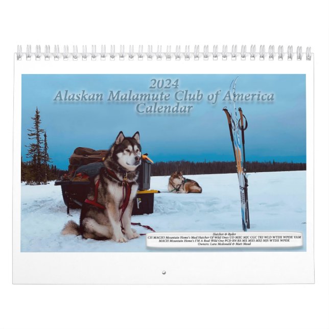 AMCA-Kalender 2024 Kalender (Titelbild)