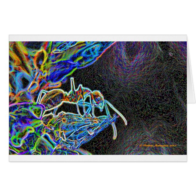 Ameise a1 (Vorderseite (Horizontal))