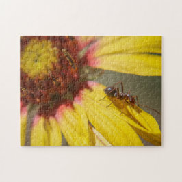 Ameise Puzzle