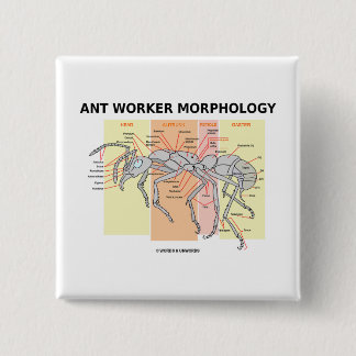 Ameisen-Arbeitskraft-Morphologie Button