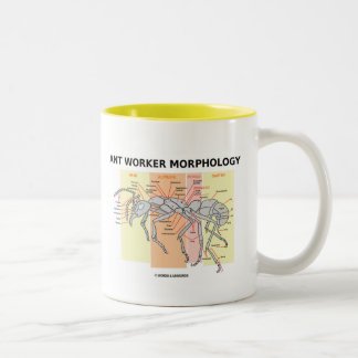 Ameisen-Arbeitskraft-Morphologie Zweifarbige Tasse