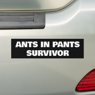 Ameisen in Pants Survivor Autoaufkleber