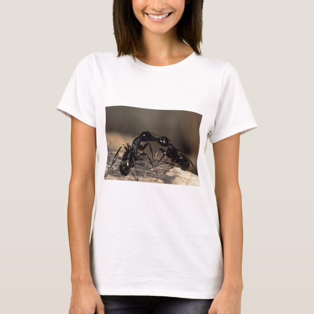 Ameisen küssen T-Shirt (Vorderseite)