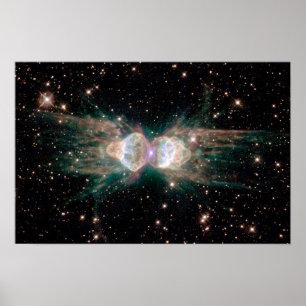 Ameisen-Nebelfleck Poster