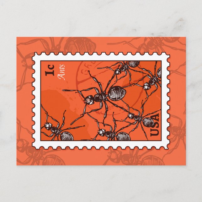 Ameisen Postkarte (Vorderseite)