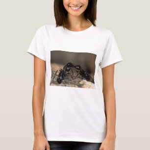 Ameisenküssen T-Shirt