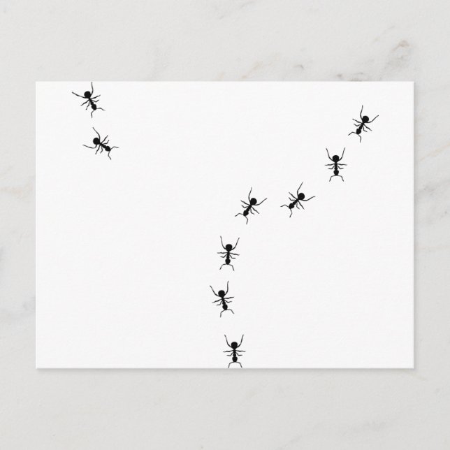Ameisenspur Postkarte (Vorderseite)