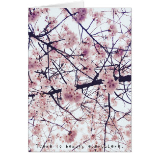 Amelia fantastische Abenteuer