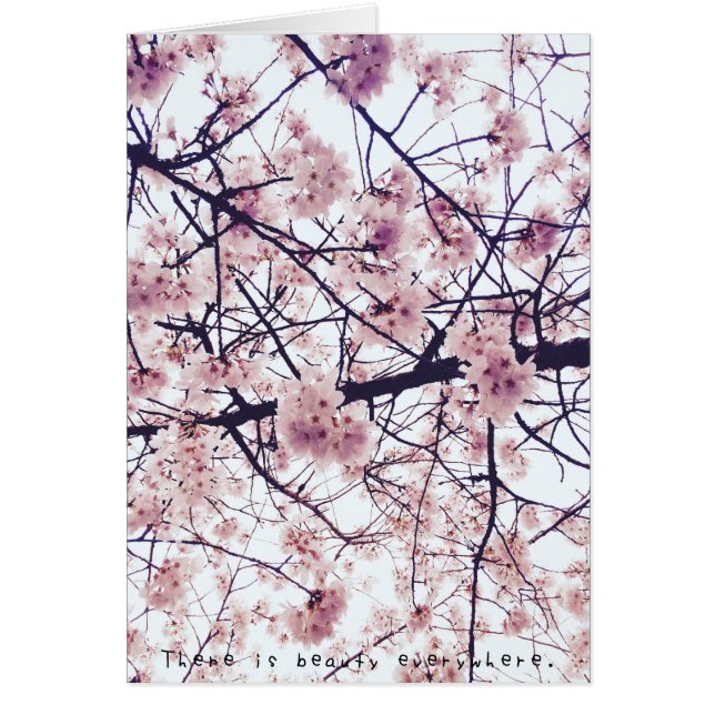 Amelia fantastische Abenteuer (Vorne)