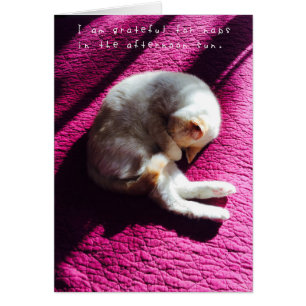 Amelia fantastische Abenteuer-Zeitschrift