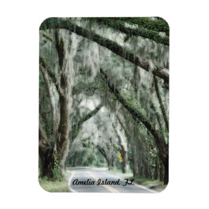 Amelia Island, FL-Magnet Magnet